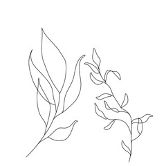 Flowers and plants line