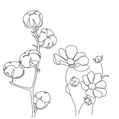 Flowers and plants line