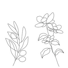 Flowers and plants line