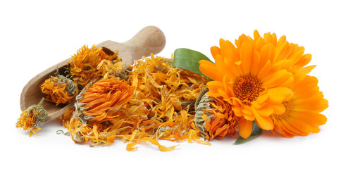 Pile of dry and fresh calendula flowers with wooden scoop on white background - obrazy, fototapety, plakaty