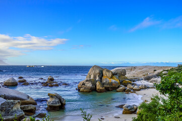 Rocky boulder's beach is a turqoise and sheltered beach and a famous tourist destination in cape town