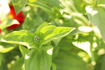 Nature shots from our Wisconsin farm
