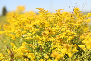 Nature shots from our Wisconsin farm