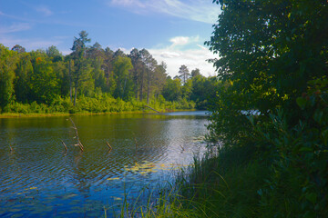 Fototapeta premium lake in the forest