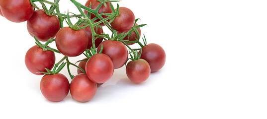 One branch with brown cherry tomatoes isolated on white background.