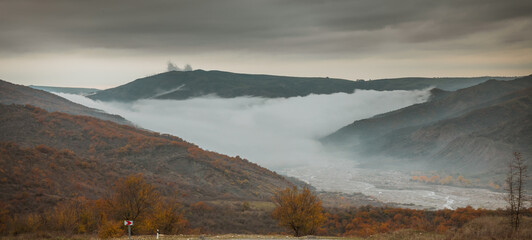 Landscape with beautiful fog in forest on hill or Trail through a mysterious winter forest with autumn leaves on the ground. Road through a winter forest. Magical atmosphere.