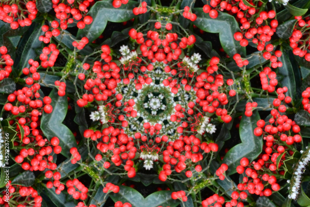 Poster beautiful red flower kaleidoscope - fractal 3d rendering backdrop, computer generating background
