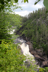 waterfall in the forest