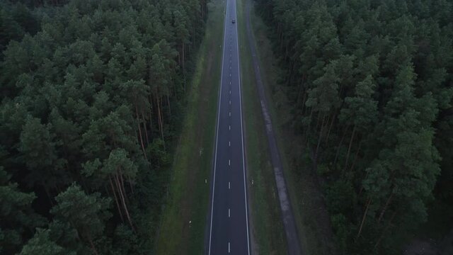 Areal view of the cars moving in fogy forest at summer 