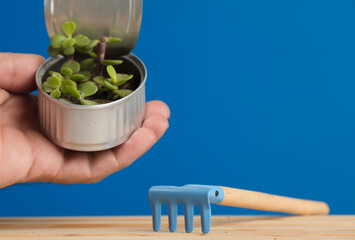 recycled can with plant held in hand dirt rake on woods blue background