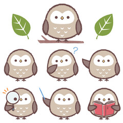 フクロウのバリエーションセット