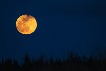 Fototapeta na wymiar Large super moon rise over Ocean Shores, Washington.
