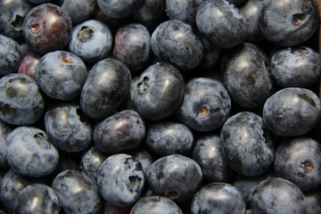 close up of blueberries