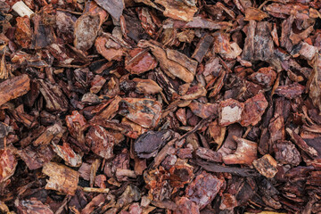 The texture of a wooden multcha on the division of zones of the house territory.