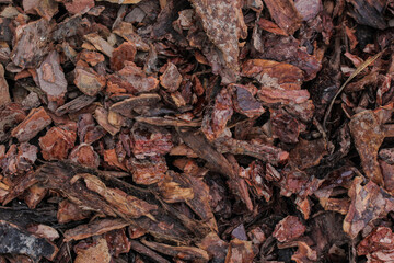 The texture of a wooden multcha on the division of zones of the house territory.