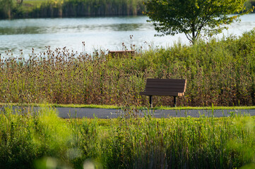 bench on the lake