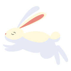 jumping cute rabbit