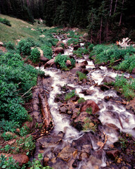 stream in the forest