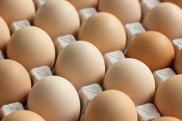 fresh hen eggs in tray paper with close up shot.