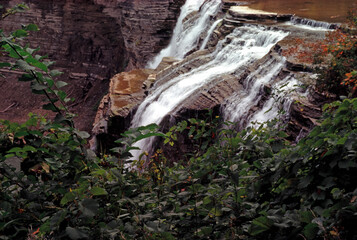 waterfall in the woods