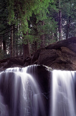 waterfall in the woods