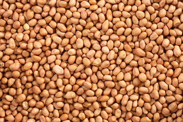 Peanut kernels with close up shot,top view.