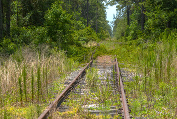 Old RailRoad Tracks
