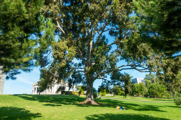 Obraz premium オーストラリアのメルボルンの観光名所を旅行する風景 Scenes from a Trip to Melbourne, Australia