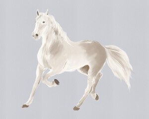 Obraz na płótnie Canvas White horse running | Digital illustration