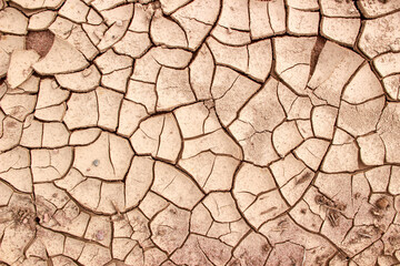 dry cracked earth from drought
