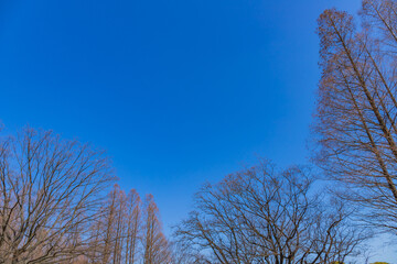 青空の下の公園