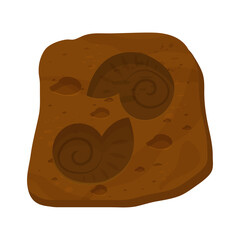 Amonite shell fossil, prehistoric creature in cartoon style isolated on white background. Science spiral snail. 