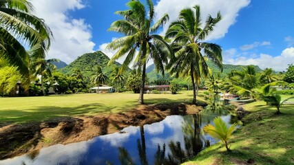 Fototapeta na wymiar Visage de Teahupoo sur Tahiti
