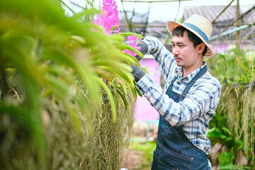 Asian farmers care for plants from insects. farmer's garden