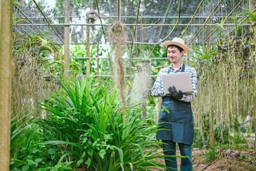 Asian farmers care for plants from insects. farmer's garden