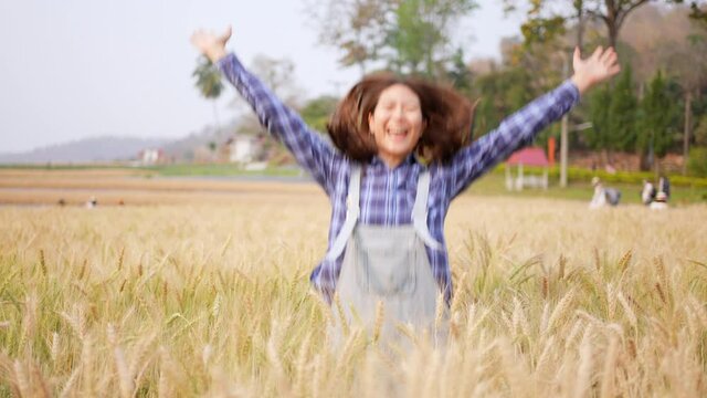 Asian woman farmer using hand stroking wheat rice plant leaves while walking in wheat field farmland. Female farm worker working in rice farm. Agriculture industry and harvest crop plant concept.
