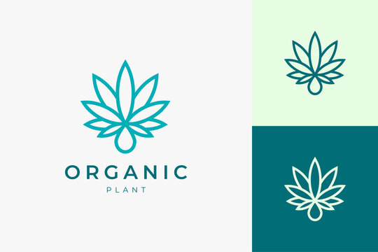 Cannabis leaf and oil logo for medical and pharmaceutical