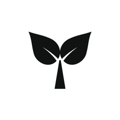 picture of two leaves on the branch