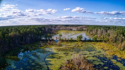 Aerial Shot of the Featherbed Branch, an old unused and overgrown cranberry bog in the Pine Barrens, New Jersey, USA