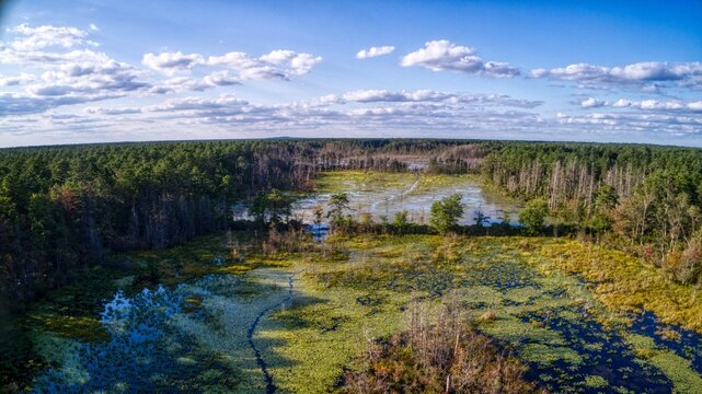 Aerial Shot of the Featherbed Branch, an old unused and overgrown cranberry bog in the Pine Barrens, New Jersey, USA
