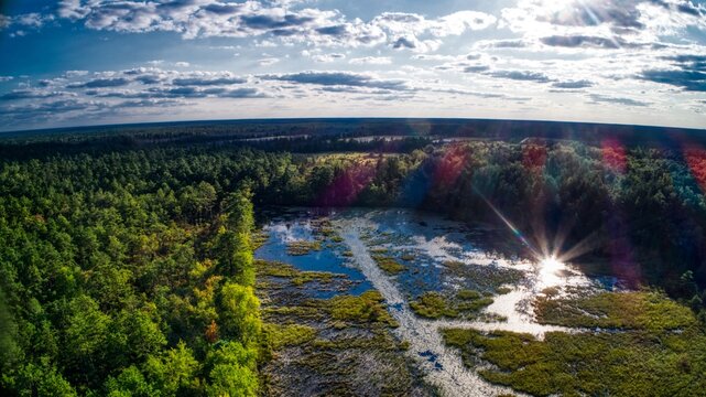 Aerial Shot Of The Featherbed Branch, An Old Unused And Overgrown Cranberry Bog In The Pine Barrens, New Jersey, USA