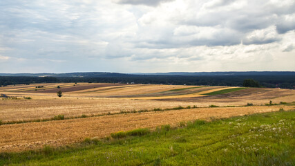 Obraz premium Agricultural fields situated on little hills in the time of harvest. Forest in the background. Cloudy, summer day. Susiec, Roztocze, Poland.