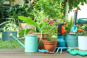 Beautiful plants and gardening tools on wooden table at backyard