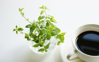寛ぎの時　コーヒー　いい香りのハーブ