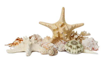 Beautiful starfish, coral and sea shells on white background