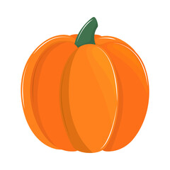 fresh vegetable pumpkin