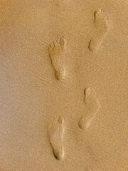 Fototapeta na wymiar Footprints left in the sand on the beach, by a person