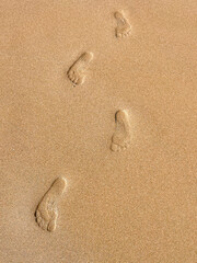 Footprints left in the sand on the beach, by a person