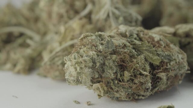 Close-up of marijuana. Cannabis. Hemp.