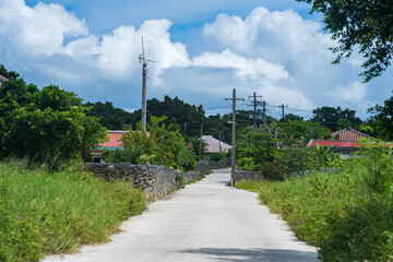 road to the village
